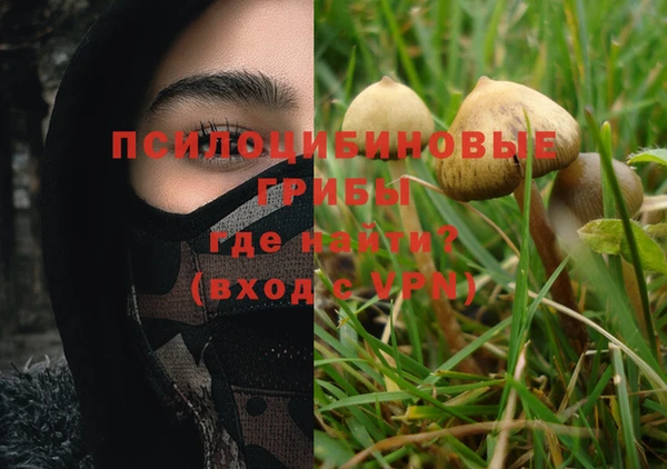 эйфоретик Балахна