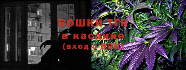 прущая мука Арсеньев