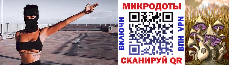 Псилоцибиновые грибы GOLDEN TEACHER  Болотное 